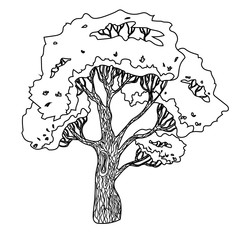 Vector drawing of a tree with a crown and a trunk.