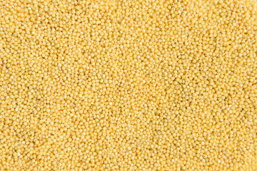 Millet isolated on white background.