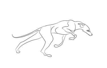 dog running, lines, vector