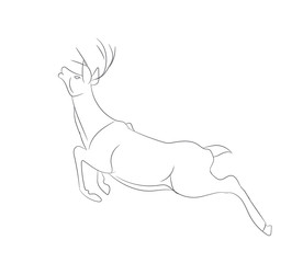 deer running, vector lines