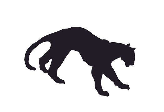 panther silhouette, vector
