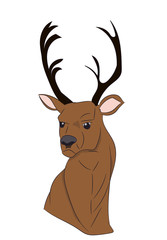 deer portrait, vector