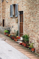 Old house with flowers in Urbino, Italy