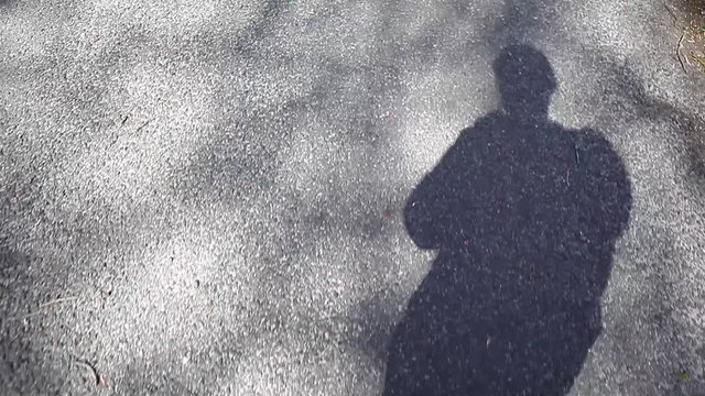 silhouette of someone inlineskating