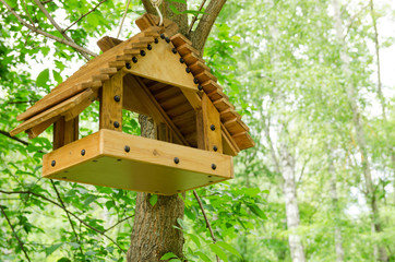 bird feeder on a tree in the spring forest