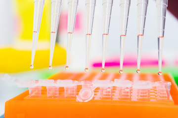 science 8 chanel pipette with drops of DNA Sample over laboratory test tubes. Science and medical...