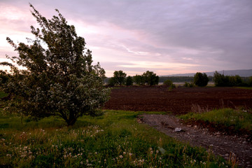gloomy rainy evening