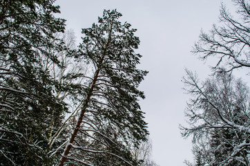 wonderful world around us