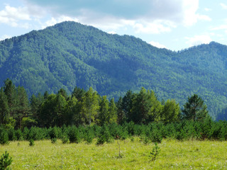 Picturesque landscape of Altai Mountains and green field.