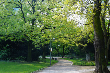 Fototapeta na wymiar Picturesque avenue with trees in the park.