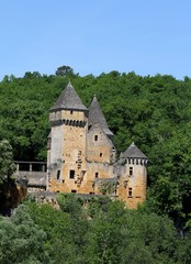 Fototapeta na wymiar château de Laussel ,les eyzies de tayac sireuil,Dordogne