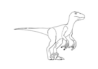 sketch of a dinosaur vector