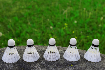 Five white plastic badminton shuttle cock on grey stone on green grass background with copy space...