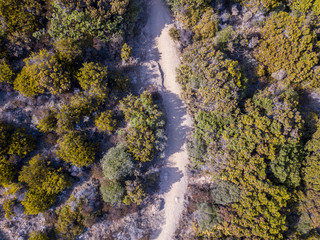 Vista aerea del sentiero dei doganieri, vegetazione e macchia Mediterranea, Corsica, Francia. Mare...