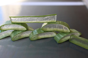 aloa vera