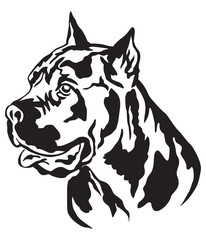Decorative portrait of Cane Corso Italiano vector illustration