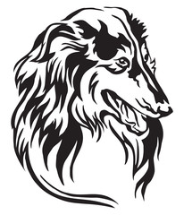 Decorative portrait of Collie vector illustration