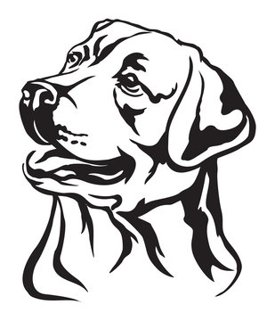 Decorative portrait of Labrador Retriever vector illustration