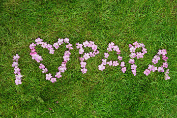 I love dad in Dutch written