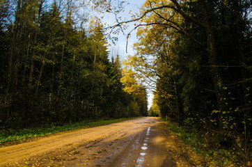 wonderful world around us