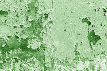 Grungy cement wall in green tone.