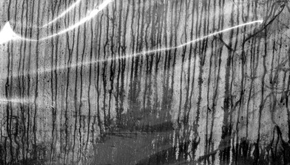 Condensation drops texture in black and white.