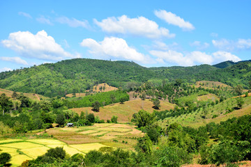 Fototapeta na wymiar Beautiful scenery in the countryside in Thailand