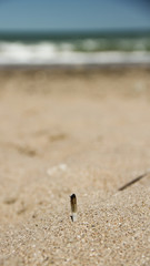 Beach, music, people, sea