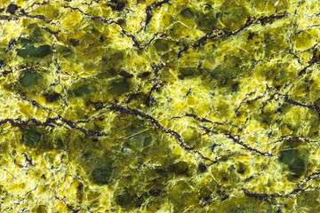 background from polished lizardite natural stone
