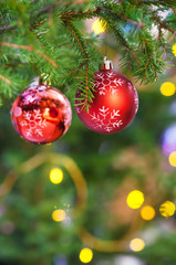two red balls on fresh fir christmas tree branch