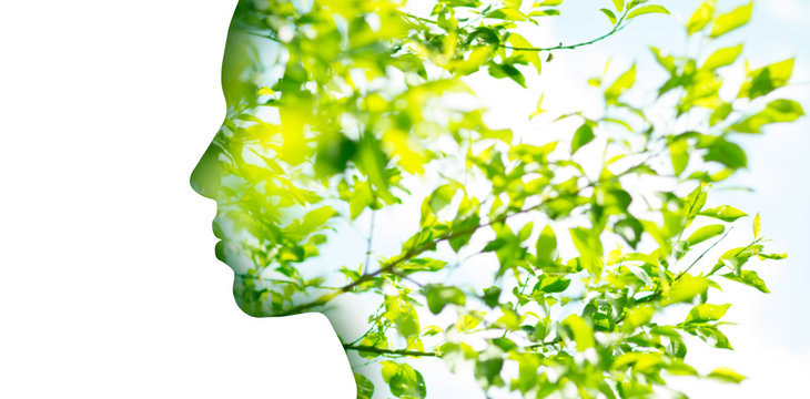 Beauty, Nature And Ecology Concept - Portrait Of Woman Profile With Green Tree Foliage With Double Exposure Effect