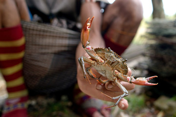 fisherman and his  crab