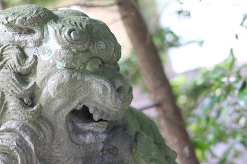 Obraz premium komainu