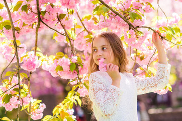 Girl on smiling face standing near sakura flowers, defocused. Peace and tranquility concept. Cute child enjoy aroma of sakura on spring day. Girl with long hair outdoor, cherry blossom on background.