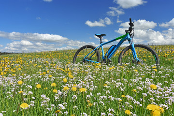 Fototapeta na wymiar Bicycle in a colorful spring meadow with yellow dandelions and white cuckoo flowers under blue sky