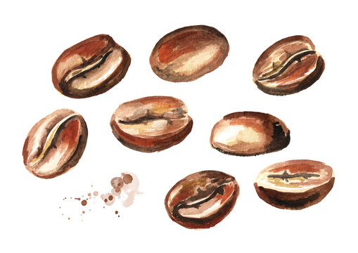 Coffee beans set. Watercolor hand drawn illustration, isolated on white background