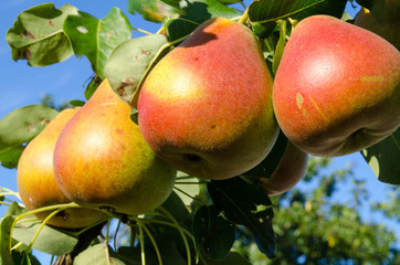 wonderful world around us	