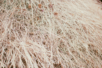 Closeup of a haycock (haystack) in the village. Beautiful summer afternoon in the Carpathian mountains, Ukraine.