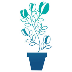 potted plant flowers tulip decoration vector illustration