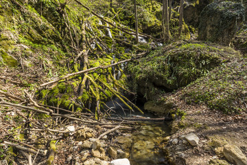 Waterfal with a lot of green moss