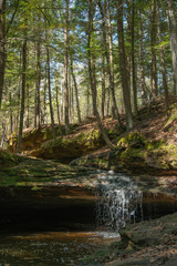 Fototapeta na wymiar Small Stream Waterfall in Midwest Forest Woods