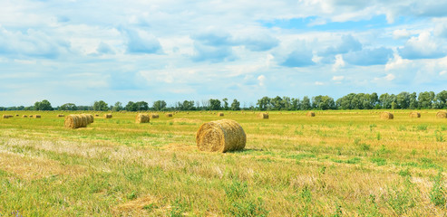 Landscape with a haystacks.