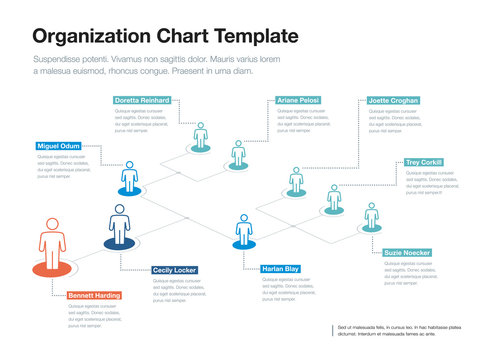 Simple company organization hierarchy chart template with place for your content. Easy to use for your website or presentation.