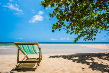 Tropical tree and beach chair at white sand beach and blue sea