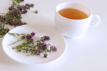 Thymus pulegioides tea and leaves. Tea is effective during diseases of the upper respiratory tract.