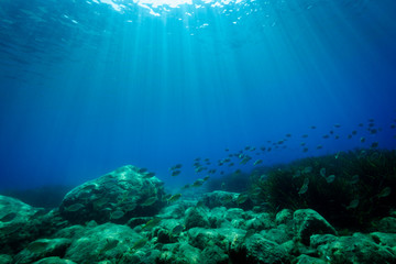 Fototapeta na wymiar seabed in the Mediterranea Sea