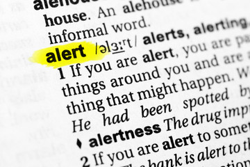 Highlighted English word 