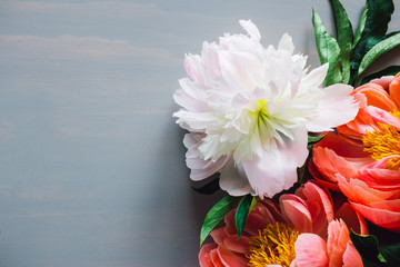 White and Pink Peonies on Blue Table