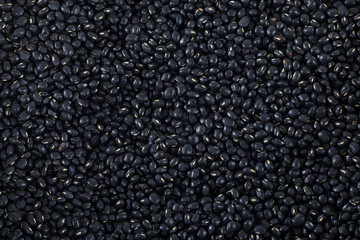 Black bean is a good food source.
