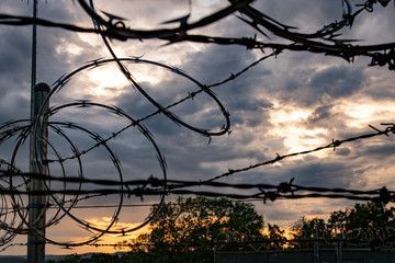 Barbed Wire Loops During Cloudy Sunset
